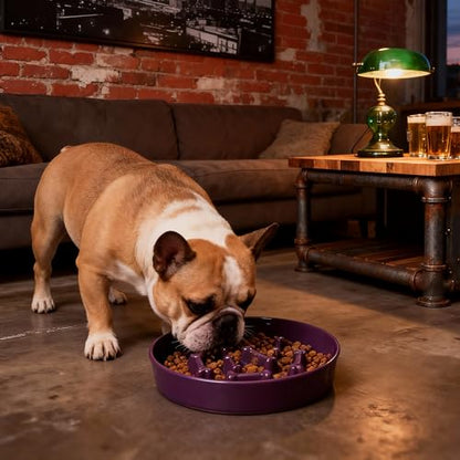 Ceramic Slow Feeder Dog Bowls, Ceramic Slow Feeder Maze Dog Food Bowl, Slow Eating Dog Bowl and Slow Feeder Dog Bowl Anti-Choking for Daily Pet Feeding （Purple Bone） - color: Purple Bone