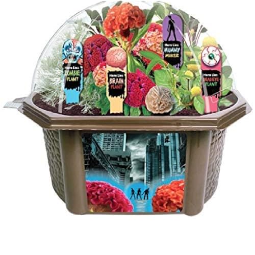 TOYS BY NATURE Create Your Own Zombie Apocalypse - Complete Kids Terrarium Kit to Grow Plants That Look Like Real Brains and Eyeballs - Includes Everything Needed to Start Your House of Horrors - style: Zombie Apocalypse