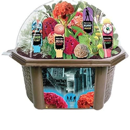 TOYS BY NATURE Create Your Own Zombie Apocalypse - Complete Kids Terrarium Kit to Grow Plants That Look Like Real Brains and Eyeballs - Includes Everything Needed to Start Your House of Horrors - style: Zombie Apocalypse