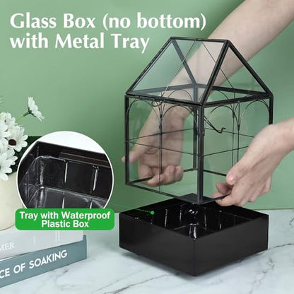 Glass Terrarium with Metal Tray, Glass Greenhouse Terrarium Kit | for Succulents, Cacti, Snails, Spiders, and Miniature Reptiles, Black (Small-5.9" L x 5.9" W x 10.2" H) - size: Small-5.9"L x 5.9"W x 10.2"H
