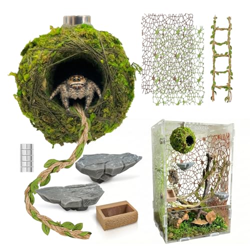 Jumping Spider Enclosure Accessories Kit - Magnetic Moss Ball Hideout, 2 Rock Ledges, Feeding Bowl, Climbing Mesh Nets & Rope Ladder - Natural Forest Habitat Decor for Regal (Moss Cave with Rope) - size: Moss Cave with Rope