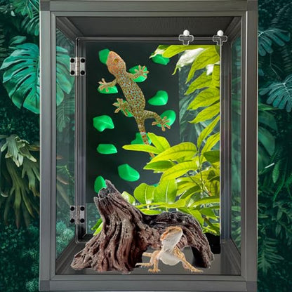 Rock Climbing Wall for Bearded Dragons Climbing Rock Wall Grips for Bearded Dragons Tank Accessories Reptiles Toy (Green) - color: Green