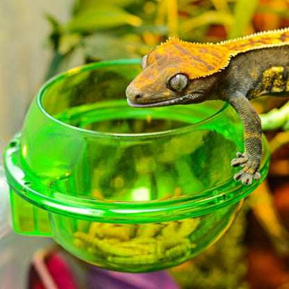 Reptile Feeding Dish with Strong Suction Cup, Translucent Anti-Escape Worm Food Bowl, Live Fodder Water Container, Green, 1PC (Green) - color: Green