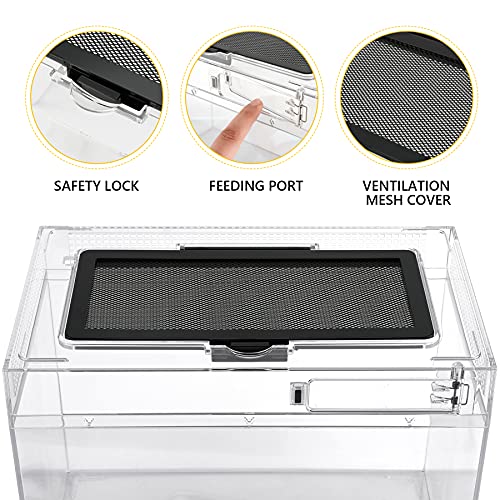 Reptile PC Terrarium, Anti Breakage 12x7x9 inch Amphibians Tank Starter Kits with Reptile Heat Lamp with 50W UVA UVB Light Bulb