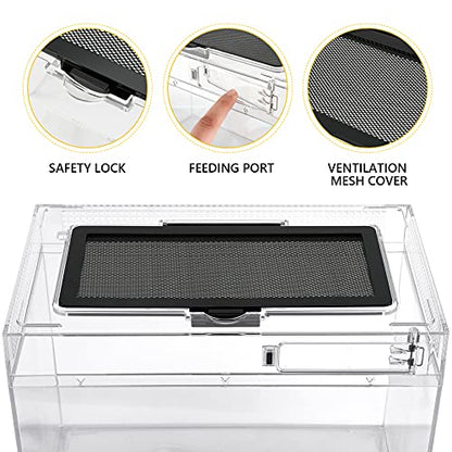 Reptile PC Terrarium, Anti Breakage 12x7x9 inch Amphibians Tank Starter Kits with Reptile Heat Lamp with 50W UVA UVB Light Bulb