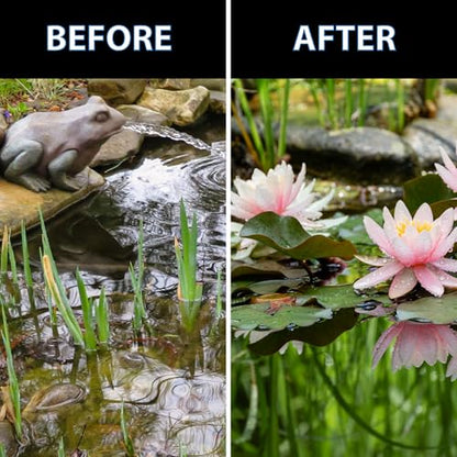 CrystalClear Thrive Pond Plant Food, Fish Safe Fertilizer, 30 Tablets | For aquatic water gardens, nutrients boost lily & lotus flower bloom and root growth - size: 30 Tablets