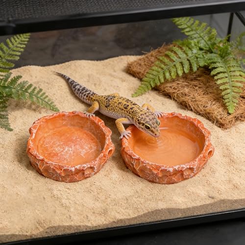 2-Pack Reptile Water Dish for Bearded Dragon Tortoise Gecko | Anti-tip shallow rock texture feeder. Non-porous hermit crab waterer, juvenile snake mealworm plate & terrarium accessories.