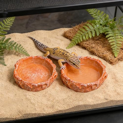 2-Pack Reptile Water Dish for Bearded Dragon Tortoise Gecko | Anti-tip shallow rock texture feeder. Non-porous hermit crab waterer, juvenile snake mealworm plate & terrarium accessories.