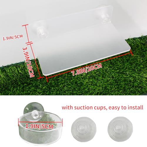 Axolotl Hammock Ledge for Aquarium and Feeding Dish with Suction Cup, 2-in-1 Axolotl Tank Accessories Set, Axolotls Transparent Acrylic Shelf Perch Hammock with Adhesive Pads, Aquarium Decor