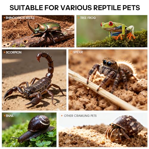 Jumping Spider Enclosure, Insect Terrarium, Bug Cage, Acrylic Terrarium for Tarantula, Snail, Praying Mantis, Frog, and Small Reptiles, Includes Tweezer and Bowl, (5.9" x 5.9" x 9.8") - size: 5.9" x 5.9" x 9.8"