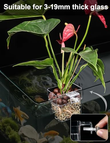 2 Pack Clear Aquarium Plant Holder Top Hanging Fish Tank Plant Holders Fits up to 0.8in Tank Edges, Aquarium Décor - color: Square-White