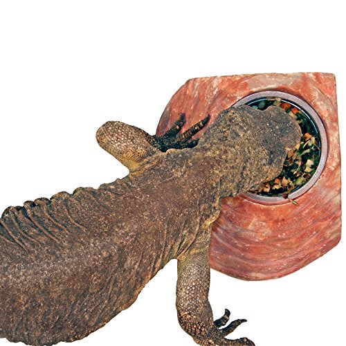Healthy Herp Veggie Mix Instant Meal for Reptiles - Nutritious Bearded Dragon Accessories, Bearded Dragon Food - Made in USA - Quick Prep, Ideal for Box Turtles, Lizards, Tortoises - 7.5 oz (212g)