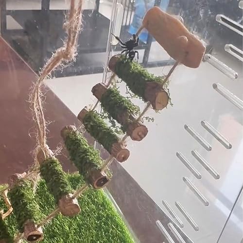 Jumping Spider Rope Bridge,A Solid Wood Climbing Suspension Bridge, a Jumping Spider Enclosure Accessory, Handmade, a Spider Jump Platform, Used As a Decorative Accessory for Small Reptile Enclosures