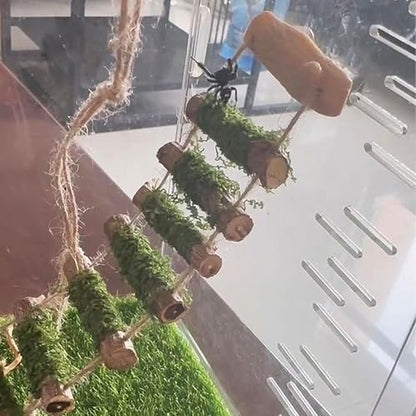 Jumping Spider Rope Bridge,A Solid Wood Climbing Suspension Bridge, a Jumping Spider Enclosure Accessory, Handmade, a Spider Jump Platform, Used As a Decorative Accessory for Small Reptile Enclosures
