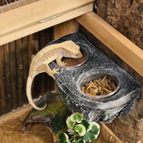 Tfwadmx Magnetic Reptile Feeder Ledge, Gecko Feeder Ledge with 6 Cups Reptile Feeding Bowls Food Dish Water Bowl Tank Accessories for Lizards Chameleons Frog(Grey) - color: Grey