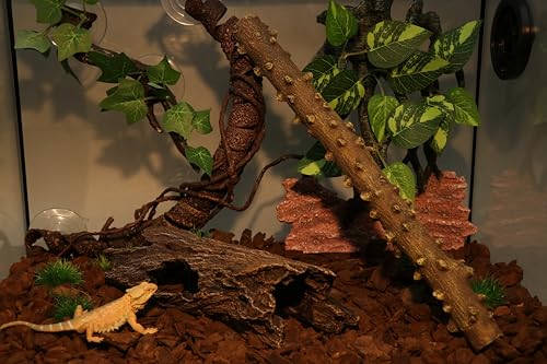 AQUA KT Reptile Hideout Tree Trunk Hollow Log Cork Bark for Lizard Bearded Dragon Snake Chameleon Hermit Crab Leopard Gecko Terrarium Habitat Decoration