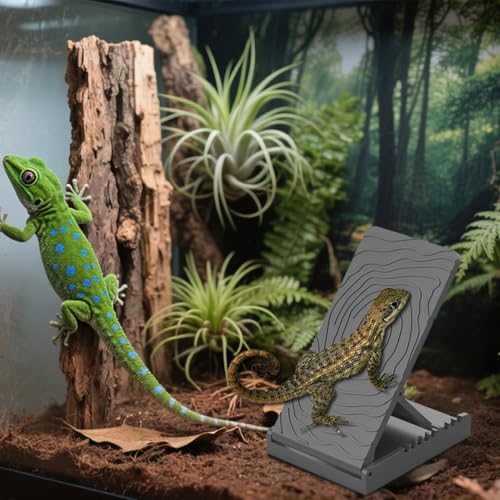 Reptile Climbing Ramp Height Adjustable Foldable Non-Slip | Bearded Dragons Climbing Step Ramp for Lizard Keepers Enclosure Vivarium Tank Frogs Geckos Chameleons Newts Snakes Tortoise - color: Gray
