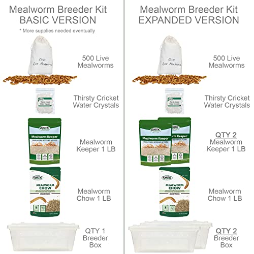 Mealworm Breeder Kit (Basic) - Breed Live Feeder Worms for Hedgehogs, Sugar Gliders, Reptiles, Wild Birds, Chickens, Lizards, Bearded Dragon, Skunks, Opossum, Fish, Turtles, Tortoises, Geckos