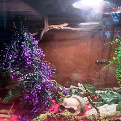 Crested Gecko Coconut Hut with Ladder,Bearded Dragon Coco Den Reptile Shell Hideout Husk Hut Climbing Plants Leaves Tank Accessories for Lizard Chameleon Snakes