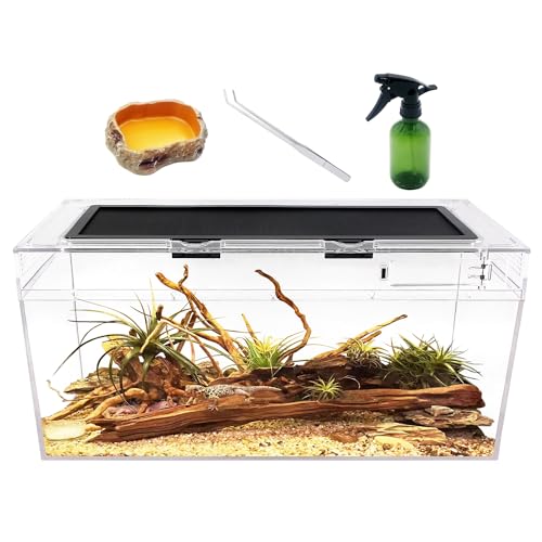 Reptile PC Terrarium Set, Reptile Tank 20" x 10"x 8",for Insect，Fish，Tarantula，Hermit Crab，Jumping Spider，Iguana，Tortoise，Leopard Gecko，Bearded Dragon - size: 20" x 10"x 8"