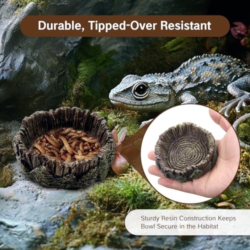 1 Pack Small Reptile Food Dish Resin Rock Worm Water Bowl for Bearded Dragon Leopard Gecko Lizard Hermit Crab Snail Frog Toad Anti Turnover Feeding Accessories Set
