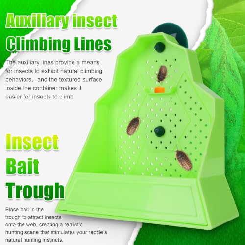 Reptile Anti-Escape Feeding Bowl, Wall-Mounted Feeder for Reptile, Stimulate Hunting Accessories for Terrarium, Vivarium and Paludarium, Suitable for Lizard, Gecko & Frog, Small - color: Wall-Mounted Feeding Bowl, size: Small