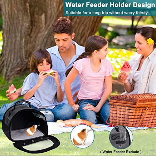 Guinea Pig Carrier with Water Bottle Holder & Washable Liner,Strap | Portable Small Animals Pouch Breathable Outdoor Travel Bag Transparent Window for Bunny,Rabbit, Bearded Dragon,Hedgehog - color: Grey-Large