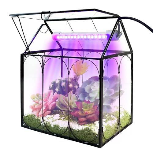 RIFNY Plant Terrarium with Grow Light, Glass Terrarium 8.9 x 5.9 x 9.9 Inch | Terrarium with LED Grow Light and Absorbent Mat for Venus Fly Trap Succulent Live Air Plants Indoor Home Office Decor - size: Black-Large with Plant Light
