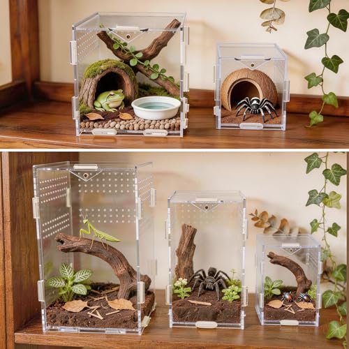 Portable Acrylic Jumping Spider Terrarium 5.9" Cube for Spider, Mantis | Ventilated design; secure magnetic lock closure. Designed for small reptiles & insects. Lightweight for travel and display - size: 5.9×5.9×5.9 Inch