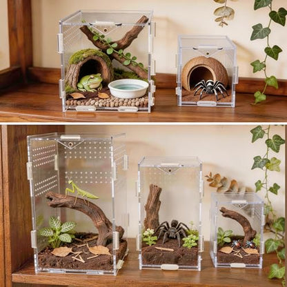 Portable Acrylic Jumping Spider Terrarium 5.9" Cube for Spider, Mantis | Ventilated design; secure magnetic lock closure. Designed for small reptiles & insects. Lightweight for travel and display - size: 5.9×5.9×5.9 Inch