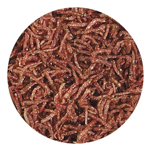 Hikari Bio-Pure Freeze Dried Blood Worms For Pets, 1.58-Ounce - size: 1.6 Ounce (Pack of 1)