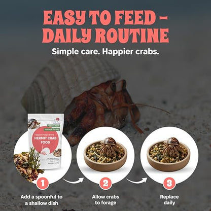 Snout and Shell Tidepool Protein Blend Hermit Crab Food – High Protein, Natural Sea-Inspired Variety, Supports Growth & Molting – 2 oz / 56 g