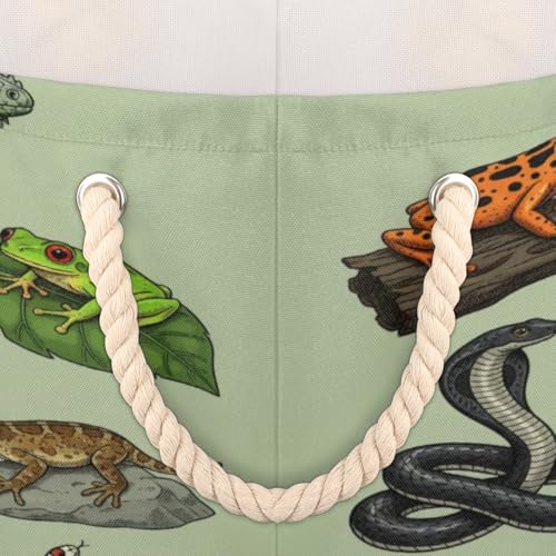 Large Storage Baskets - Reptiles Amphibians Nursery Round Organizer Bin Box with Handles, Collapsible Laundry Hamper for Kids Toys, Blanket, Bedroom Living Room Home Decor, Gift Basket