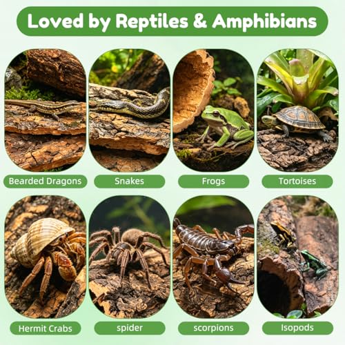 Natural Cork Bark for Reptiles - 3Pcs Reptile Hide & Terrarium Decor Set - Wood Log Rounds & Flats for Leopard Gecko, Bearded Dragon, Snake & Crested Gecko Habitat - Climbing Surface