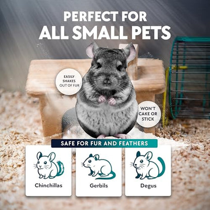 6 LB. Chinchilla Dust Bath Jar - Pure Cleansing Pumice Sand Dust for Cleaning Small Pets Like Gerbils, Mice, Degu - Premium, All Natural Dusting Powder - Chinchilla Accessories by Billy Buckskin - size: 6 Lb.