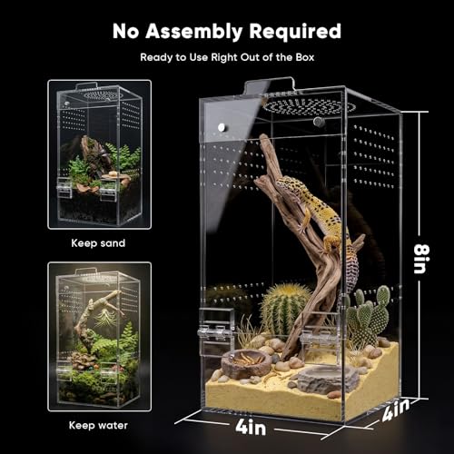 4"×4"×8" Ready-to-Use Acrylic Jumping Spider Enclosure No Assembly Needed | 360° Ventilation, Mini Reptile Terrarium for Jumping Spider, Mantis, Snail – Ideal for Desk, Living Room & Bedroom
