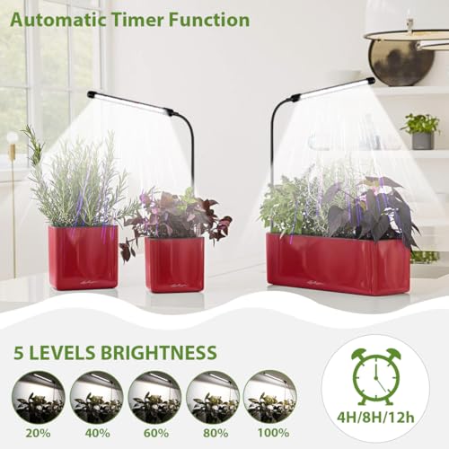 Grow Light 2 Pack, 6000K Full Spectrum Gooseneck Growing Lamp for Indoor Bonsai Pot Succulents Micro Greens Mini Plants, Dimmable & Auto Timer 4 8 12H - size: 30W