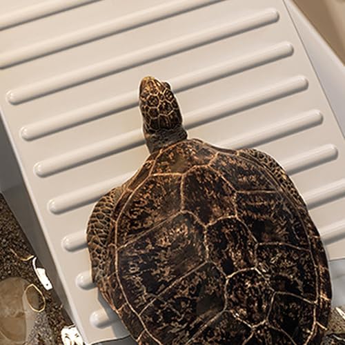 Bearded Dragon Tank Reptile Habitat Enclosure | Tarantula Habitat Container for Spider Chameleon Tarantula Bearded Dragon Frog Snack Gecko Tortoise - size: White