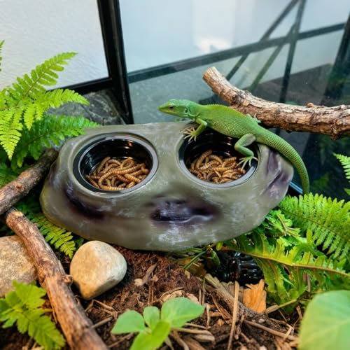 La La Pet 2Pcs Magnetic Reptile Feeding Ledge Double Bowl Feeder Tray with 4 Cups Reptiles Food & Water Dishes for Crested Gecko Bearded Dragon Lizards Chameleons