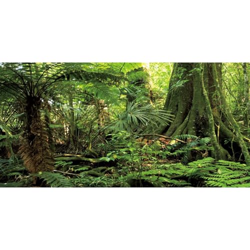 36x20 in Terrarium Backdrop Green Forest Tree Reptile Habitat Background | AWERT Stone Huge Tree Tropical Rainforest Aquarium Background Durable Polyester - size: 36x20in/90x50cm