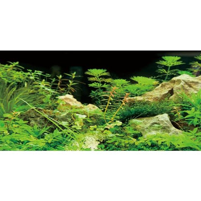 AWERT 48x24 inches Aquarium Background Seaweed Aquarium Background Aquatic Plant Stone River Bed & Lake Fish Tank Background Vinyl Background - size: 48x24in/120x60cm