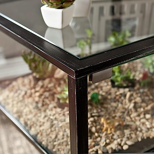 SEI Furniture - Terrarium Display End Table - Transitional Design, Black Finish - Ideal for Living Room, Bedroom (CK8862) - style: End Table