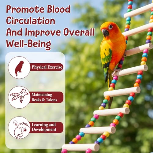 Bird Cage Ladder 22 x 3.93 in Climbing & Swing Toys Parakeets Cage Accessories Wooden Bird Playground Hanging Ladder for Small Birds Cockatiel(10 Steps)