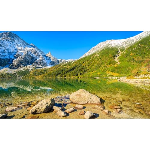 Winter Snow Scenery Aquarium Background Snow Covered Pine Trees Fish Tank Background Fantastic Wintry Frosty Mountain Lake Landscape Terrarium Backgrounds Natural Winter Tank Backgrounds 24x12in - color: Green_Brown, size: 24(W)x12(H)inches/ 60(W)*30cm(H)