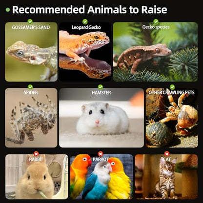 Jumping Spider Enclosure, Clear Acrylic Terrarium for Tarantula | 360° Full View Habitat w/ Dual Doors, Tri-Vents; High Transparent, Non-Yellowing Acrylic; Easy Clean; Full Breeding Kit