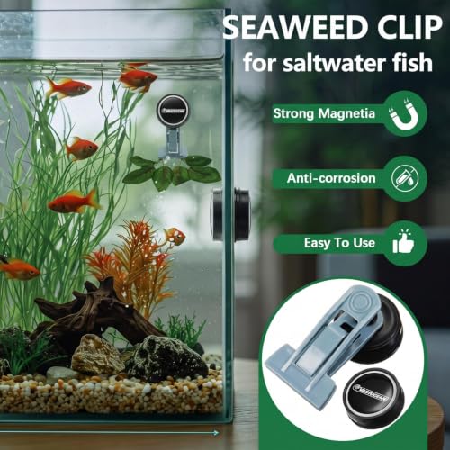 Blulu 2 Pcs Magnetic Seaweed Feeding Clips Saltwater Aquarium Tank Accessories Algae Magnet Seaweed Feeder for Fish and Aquatic Pets, Automatic Fish Feeder
