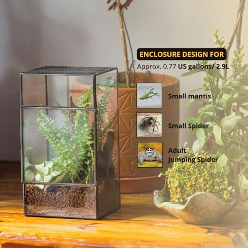 NCYP Glass Terrarium with Door and Mesh for Small Insects - 5.1 x 3.9 x 9 Inches Rectangle Reptile Habitat, Black - Modern Home Tabletop Decor (Terrarium Only)