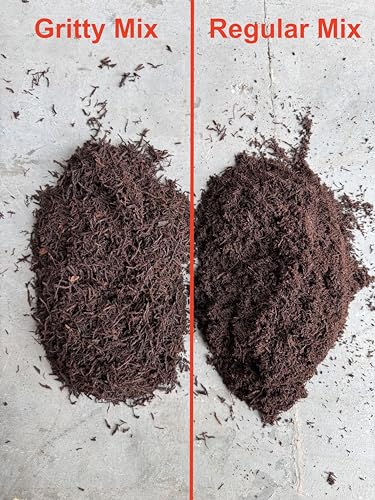 Premium Gritty New Zealand Tree Fern Fiber Growing Medium and Reptile Substrate- Natural, Organic, Long Lasting | for Orchids and Tropicals | Use in Terrariums and Vivariums (1 Gallon)