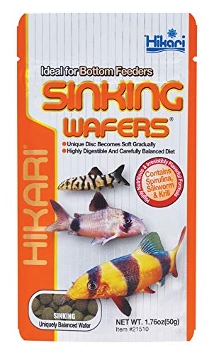 Hikari Sinking Wafers for Pets, 1.76-Ounce - color: Black, size: 1.76 Ounce (Pack of 1)