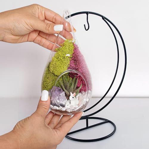 Creations by Nathalie DIY 7" Teardrop Terrarium Kit DIY Terrarium Kit with Live Succulent & Moss, Glass Terrarium Kit for Adults & Teens, Terrarium Moss Kit with Crystals, Handcrafted in the USA - color: Customizable Glass